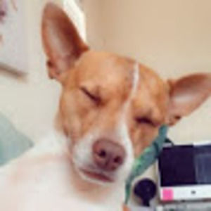 Meet your Posher, Celine